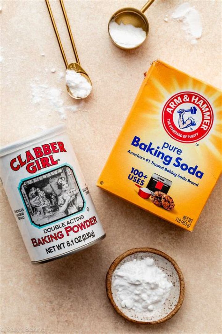 Camila Araujo Baked: The Sweet Journey of a Baking Sensation