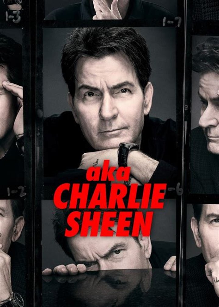 Charlie Sheen's Net Worth 2024: A Deep Dive