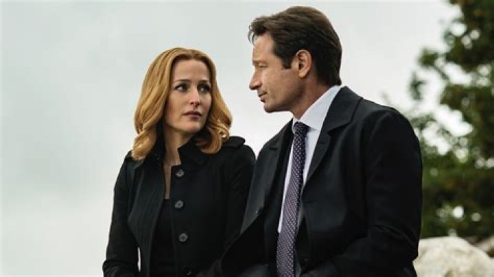 David Duchovny: Iconic Actor, Behind the Scenes