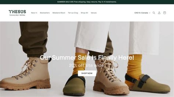 Denver Ecommerce Web Design Services: Elevating Your Online Store to New Heights