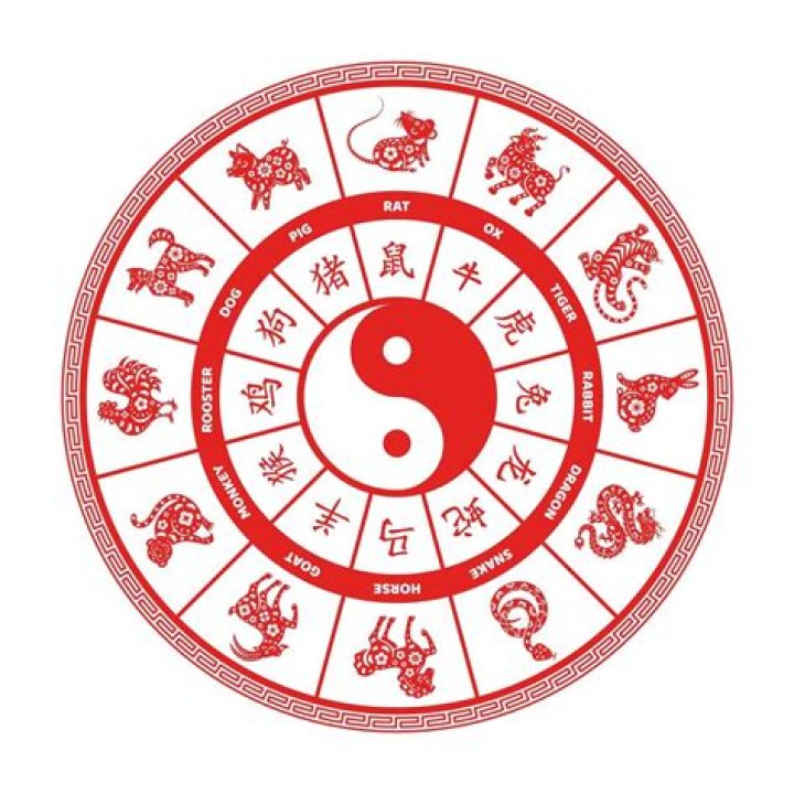 Discover the Mystical 1991 Lunar Animal: Insights, Symbolism, and More