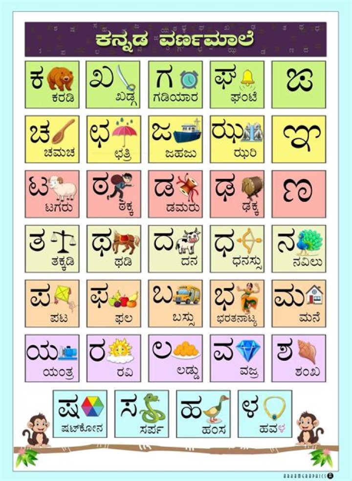 Discovering Rulz Kannada: A Cultural Phenomenon