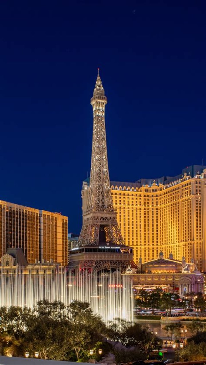 Discovering the Vibrant World of Vegas NL