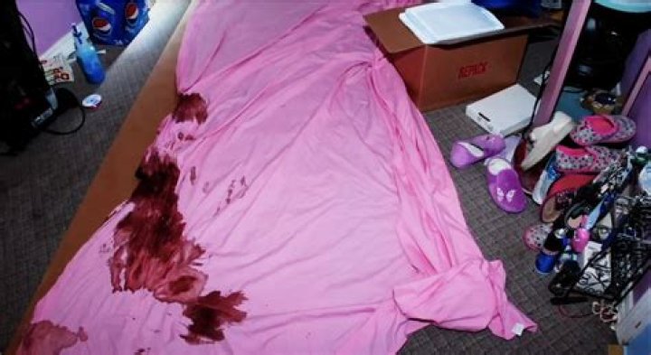 Exploring the Gipsy Rose Crime Scene Photos: A Deep Dive into a Controversial Case