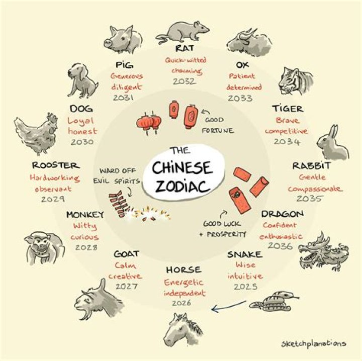 Exploring the Mystical Significance of Chinese Animal Year 1991
