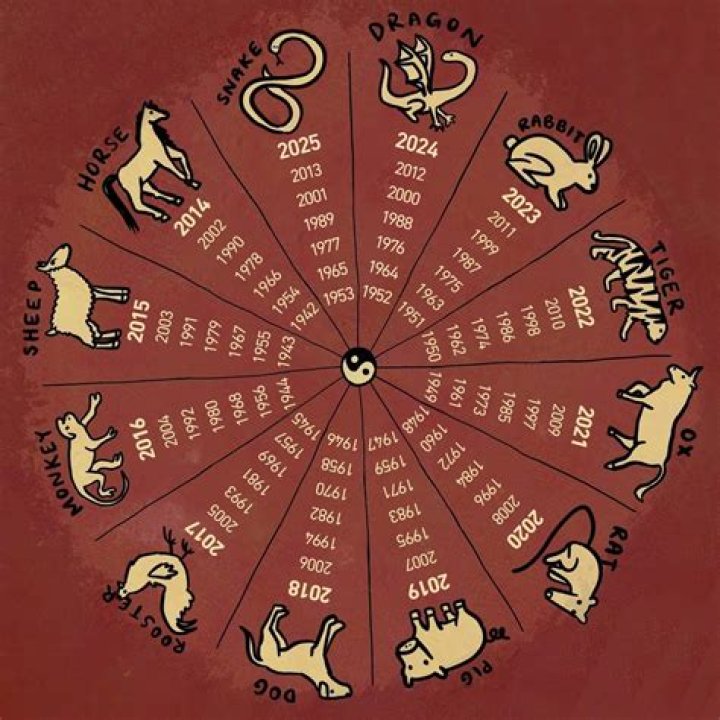 Exploring the Significance of the Chinese Year of 1991: A Journey Through Time and Tradition