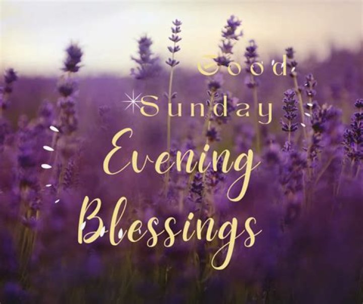 Good Evening Blessings: Embracing the Night with Positive Energy
