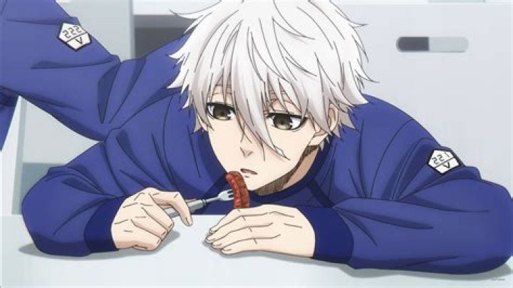 Hikaru Nagi Height: Discover the Truth Behind the Star's Measurements