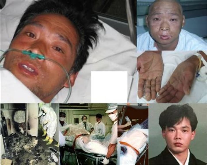 Hisashi Oichi: A Journey Through Life and Achievements