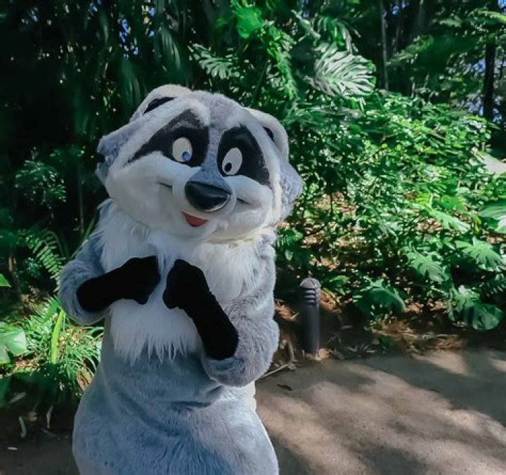 Meeko Raccoon Pocahontas: The Ultimate Guide to Disney's Beloved Character