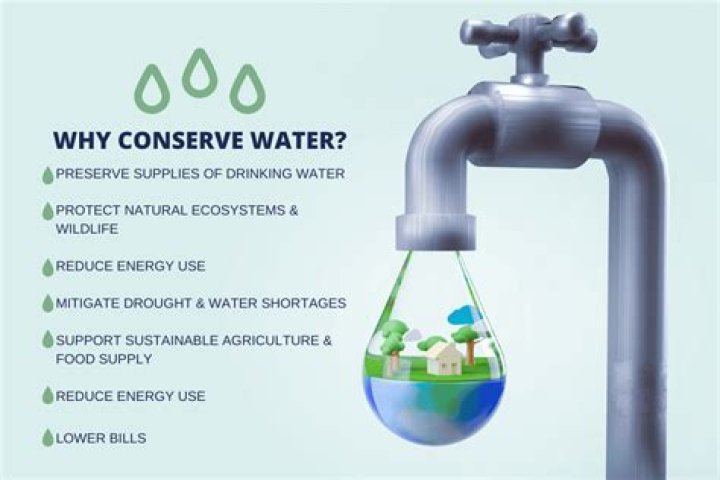 Quiero Aqua: The Ultimate Guide to Water Conservation and Its Importance