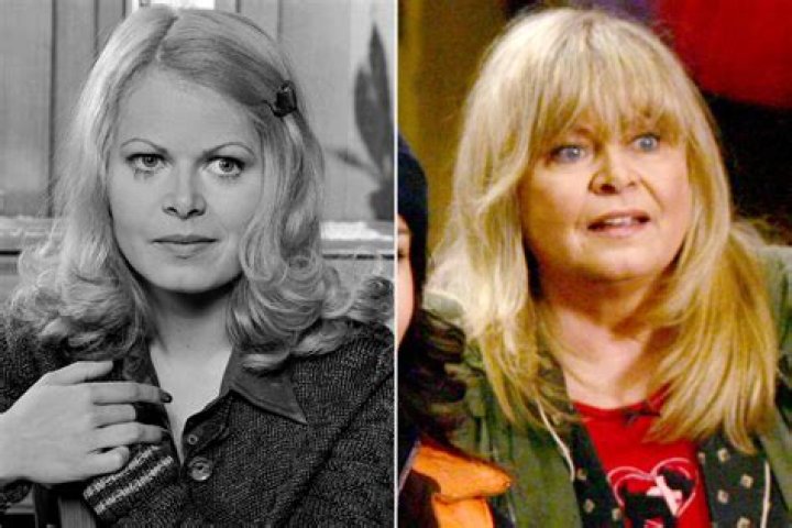Sally Struthers's Career: From TV to Activism