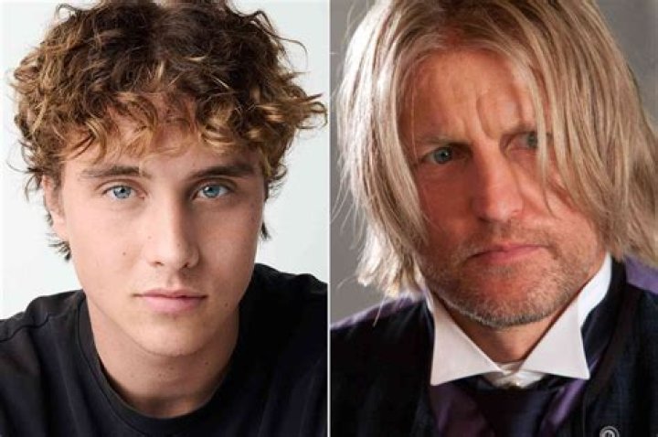 The Hunger Games: Haymitch Abernathy Actor - Gale & Katniss's Mentor
