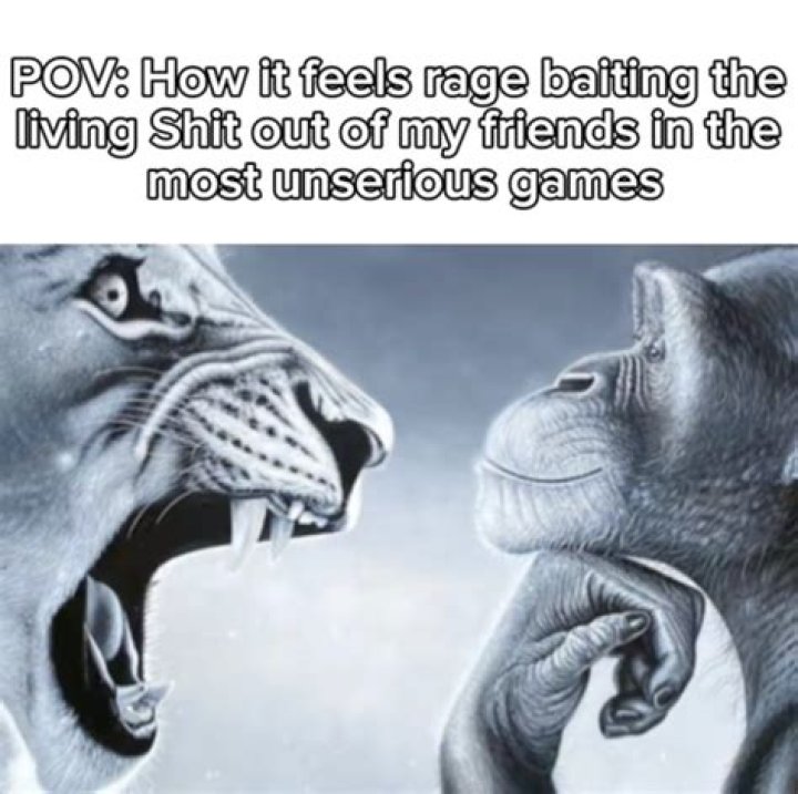Tiger Yelling at Monkey: The Captivating Tale of Nature's Encounter