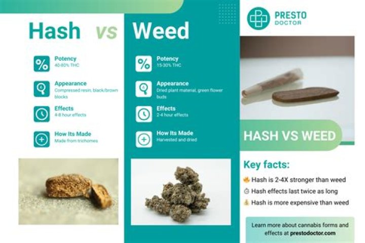 Transform Your Tresses: The Benefits of Hash Oil for Hair
