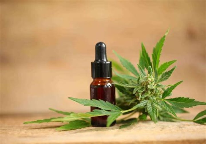 Unlock the Power of THC SEO Agency for Your Business Growth