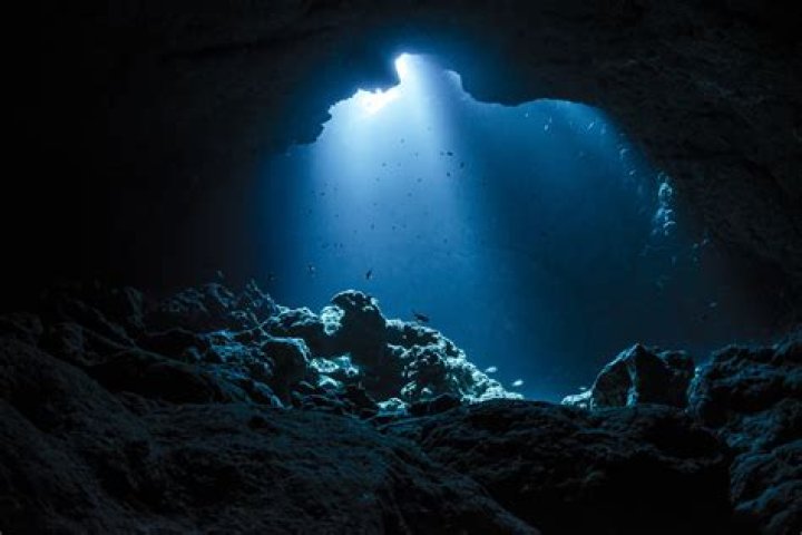 Unveiling the Depths of 
