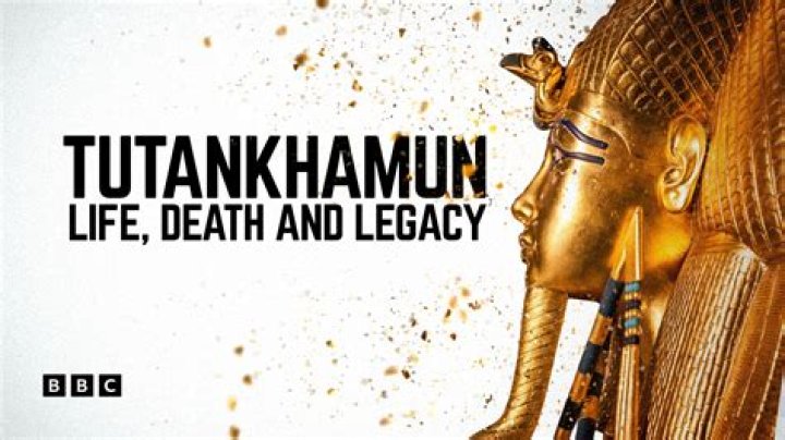 Unveiling the Life and Legacy of Anna Nygh