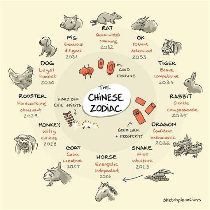 Unveiling the Mystique of the 1991 Chinese Animal: A Journey into the Zodiac's Secrets
