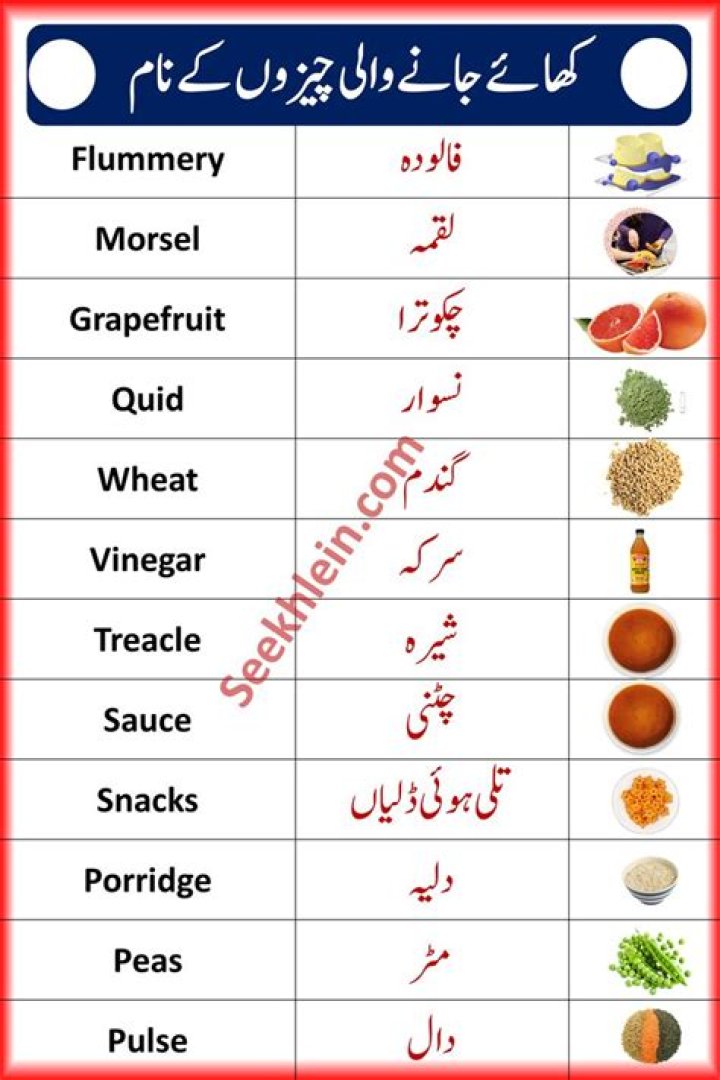 Wasmo Somali Meaning in English PDF Download Free 2020: Your Ultimate Guide