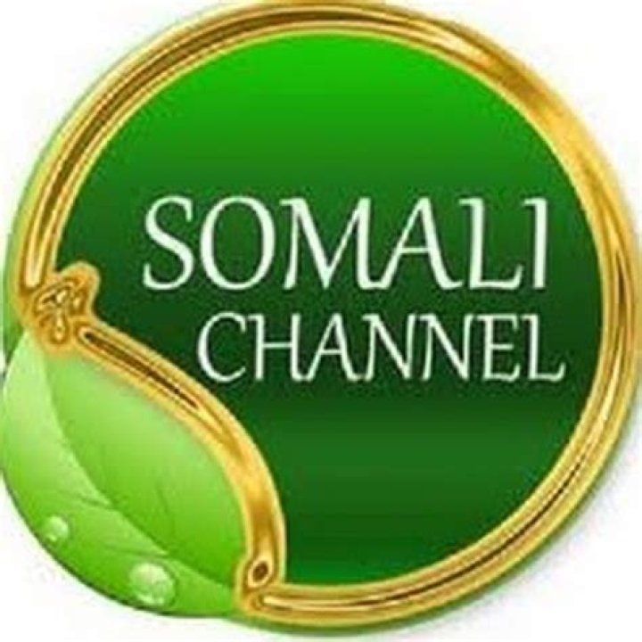 Wasmo Somali: The Rising Star of Entertainment Across Instagram, YouTube, and Beyond