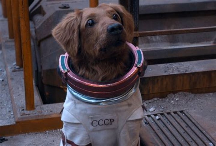 Who Is the Main Actor in Guardians of the Galaxy? Discover the Star Behind the Role