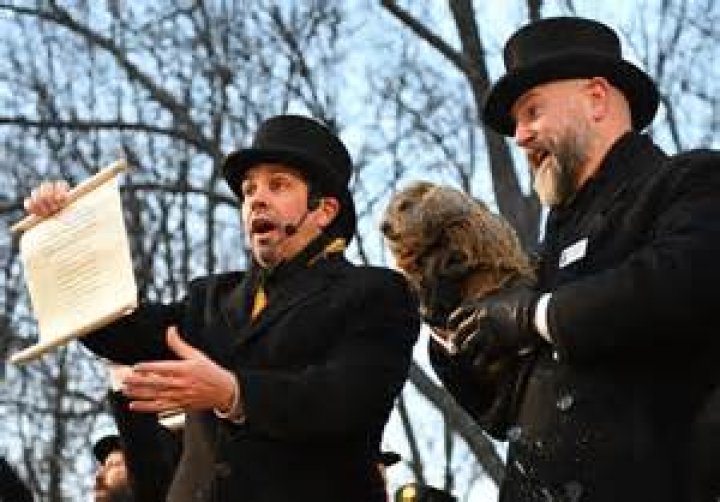 Will Phil See His Shadow in 2024? A Deep Dive into Groundhog Day Traditions